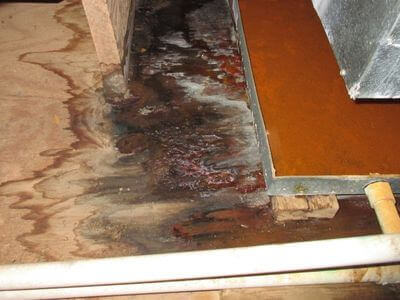 About water damage restoration service - emergency water extraction services experts in Denton